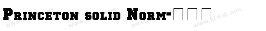 Princeton solid Norm字体转换